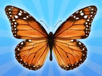 MergeButerfly: 2048!