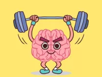 Perfect Brain 3D Puzzle