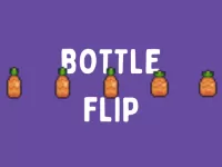 BottleFlip